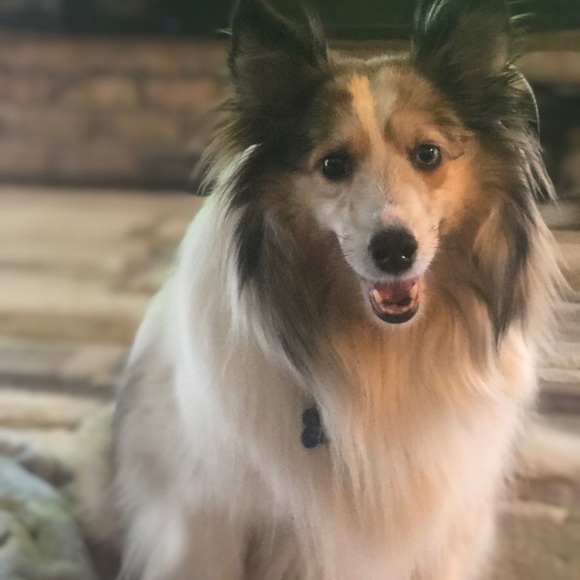 Meet your Posher, Tiffany - Picture 5 of 5